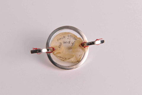 Spring - Rock gently back and forth in the cradle of lifes commands